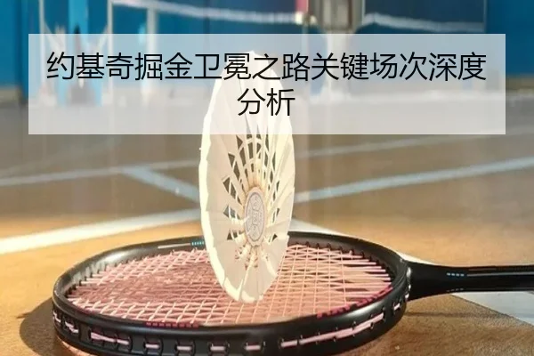 约基奇掘金卫冕之路关键场次深度分析
